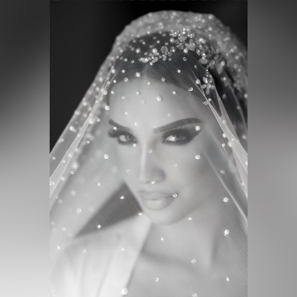 Selling veil & headpiece! - Picture 6 of 10